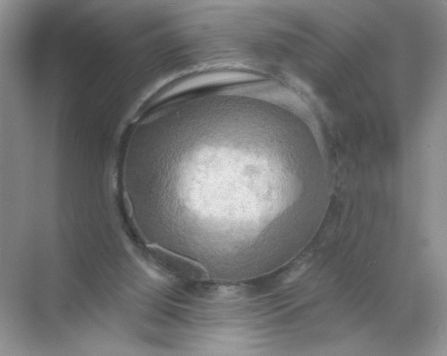 X0000071910060200607212053