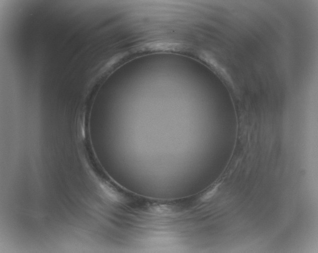 X0000071910062200607212053