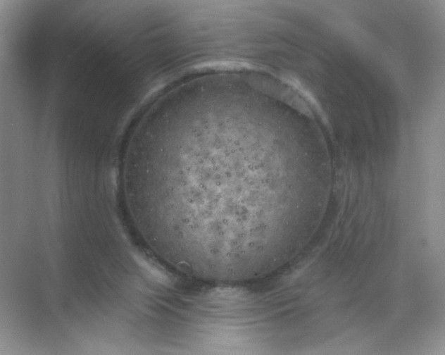 X0000071910063200607212053