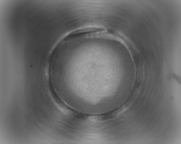 X0000071910064200607212053