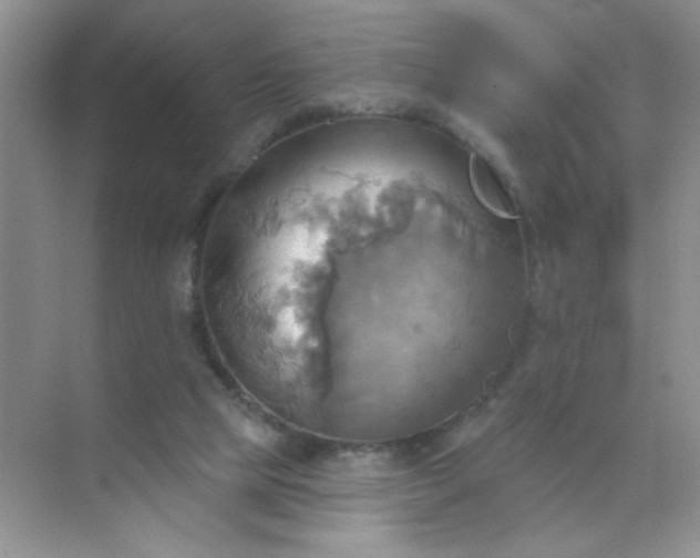 X0000071910065200607212053