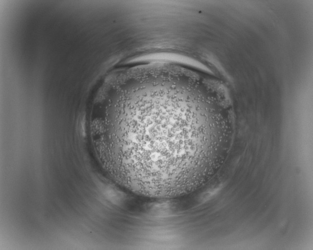 X0000071910068200607212053