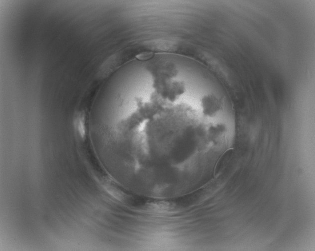 X0000071910069200607212053