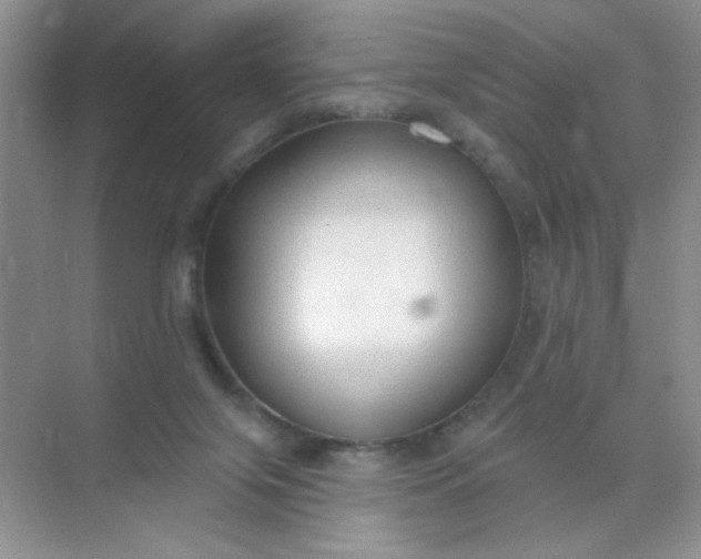 X0000071910071200607212053