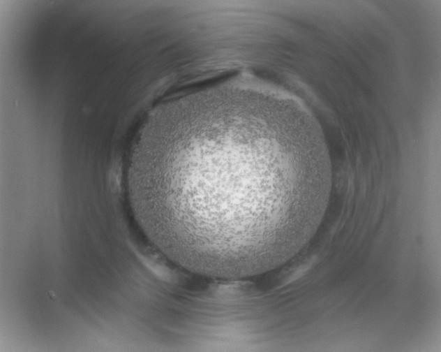 X0000071910072200607212053