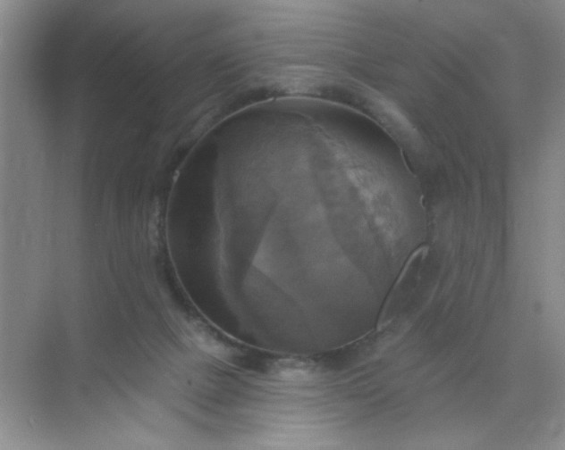 X0000071910073200607212053