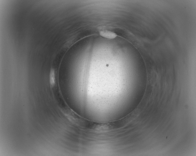 X0000071910075200607212053