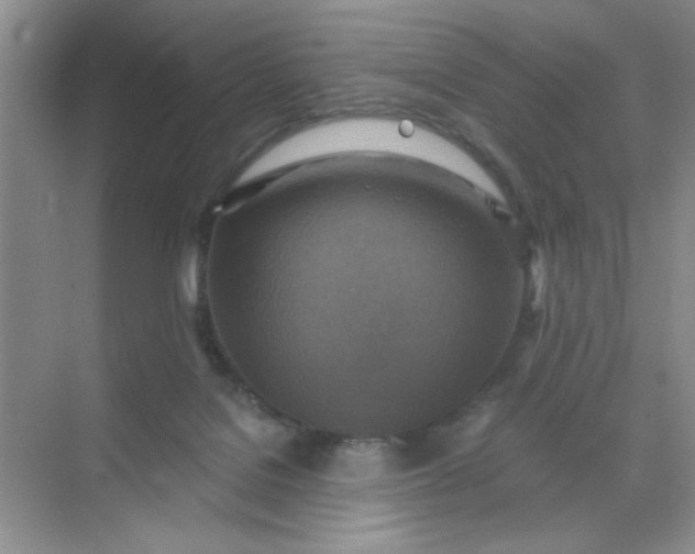 X0000071910076200607212053