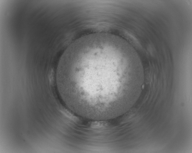 X0000071910077200607212053