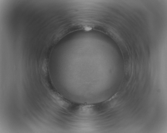 X0000071910078200607212053