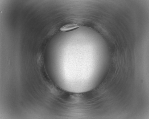 X0000071910079200607212053