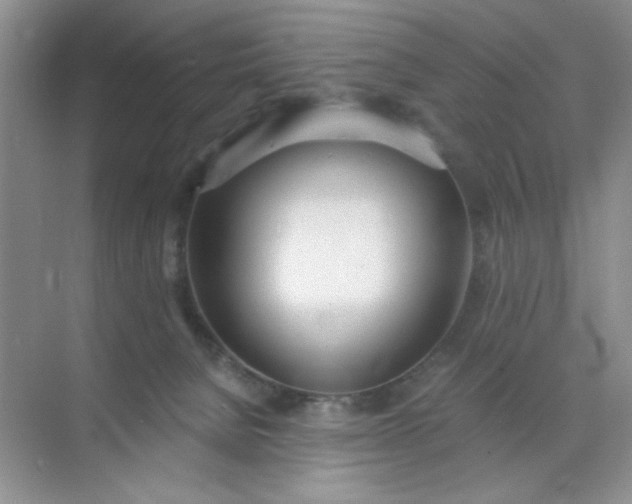 X0000071910080200607212053