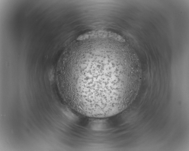 X0000071910081200607212053