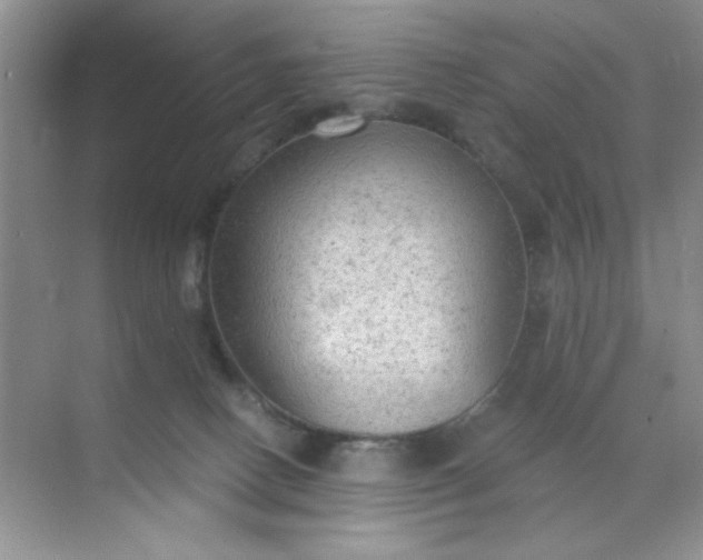 X0000071910082200607212053