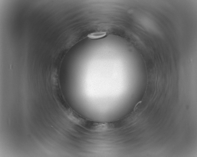 X0000071910083200607212053