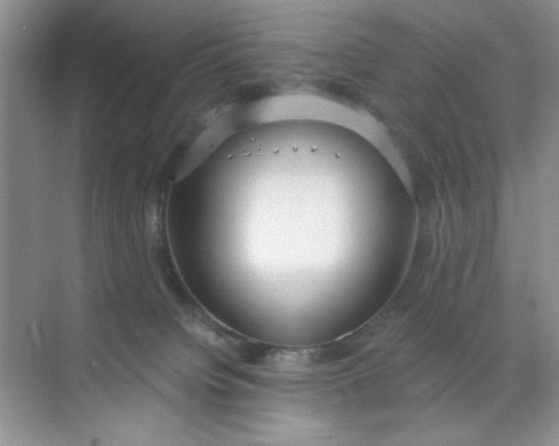 X0000071910084200607212053