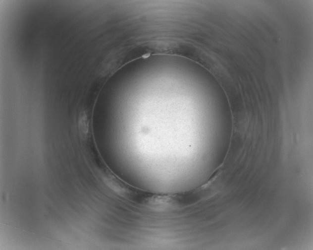 X0000071910086200607212053