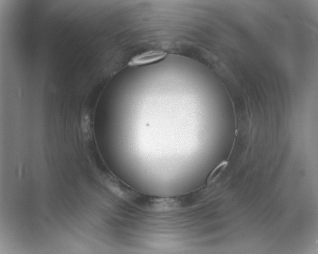 X0000071910087200607212053