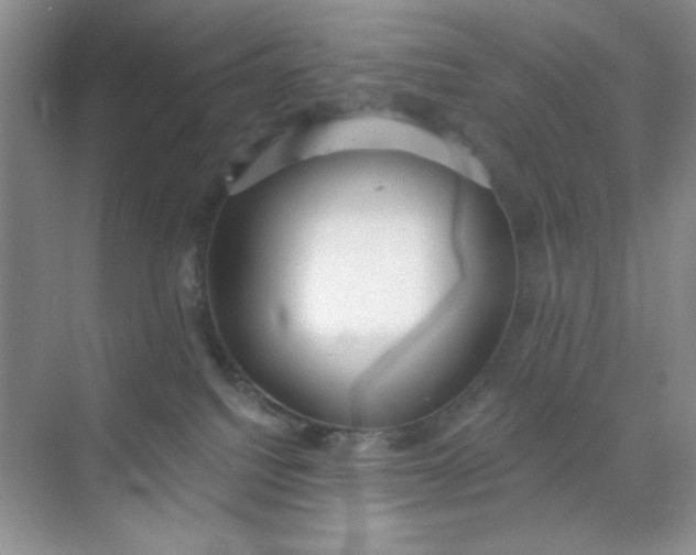 X0000071910088200607212053