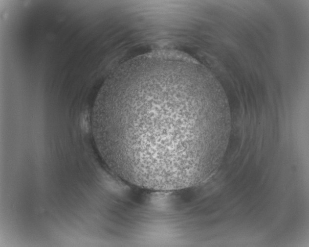 X0000071910090200607212053