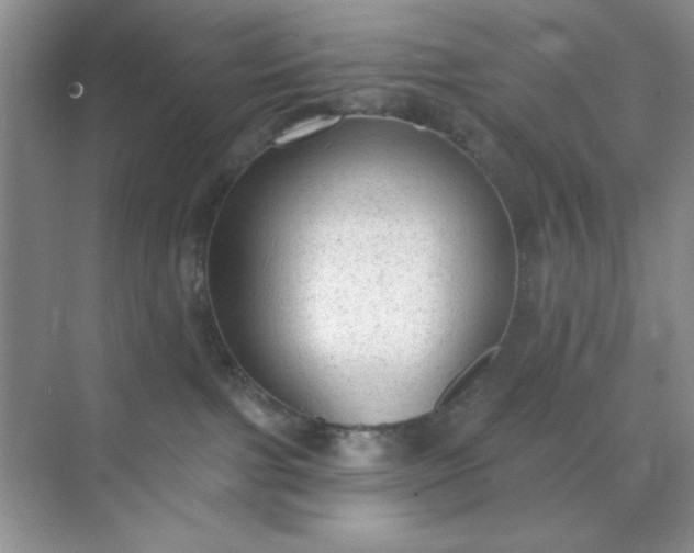 X0000071910091200607212053