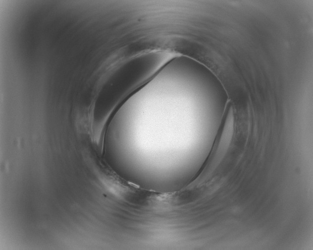 X0000071910092200607212053