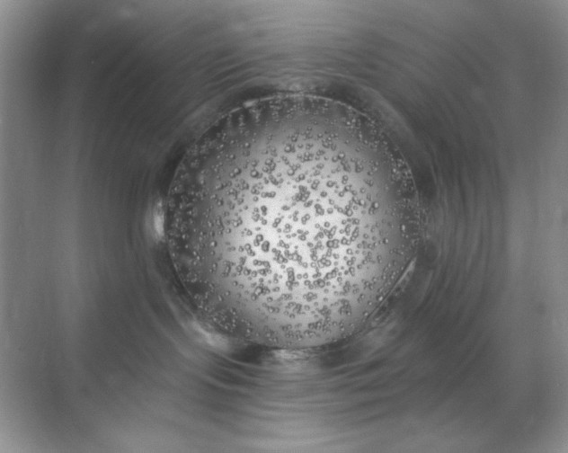 X0000071910095200607212053