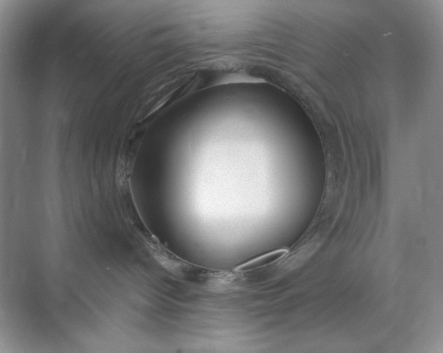 X0000071910096200607212053