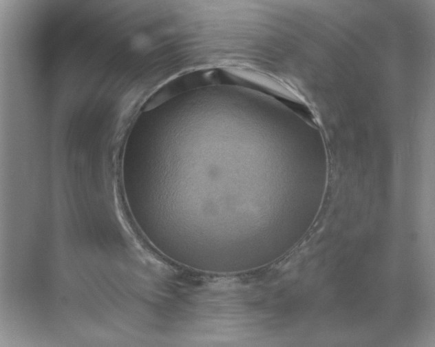 X0000071910097200607212053