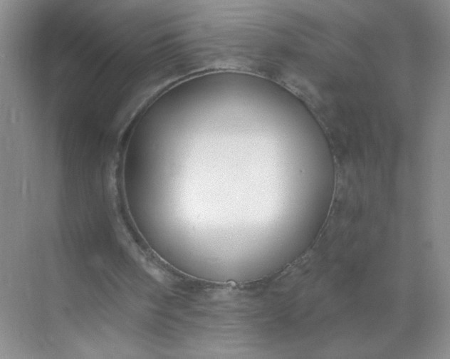 X0000071910098200607212053