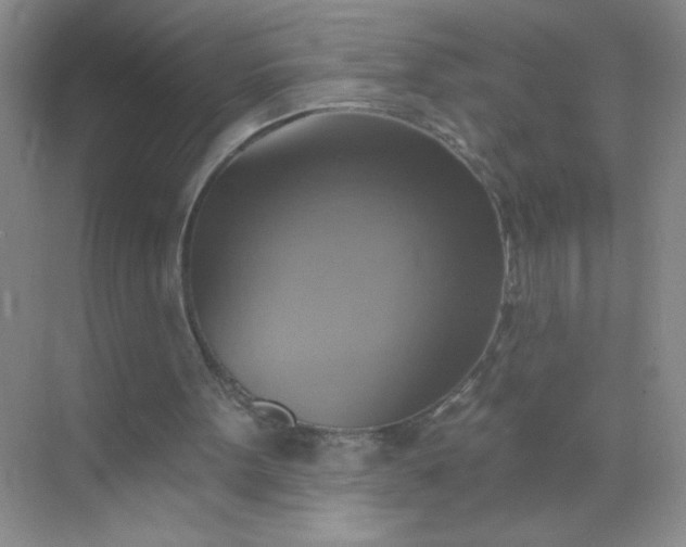 X0000071910099200607212053