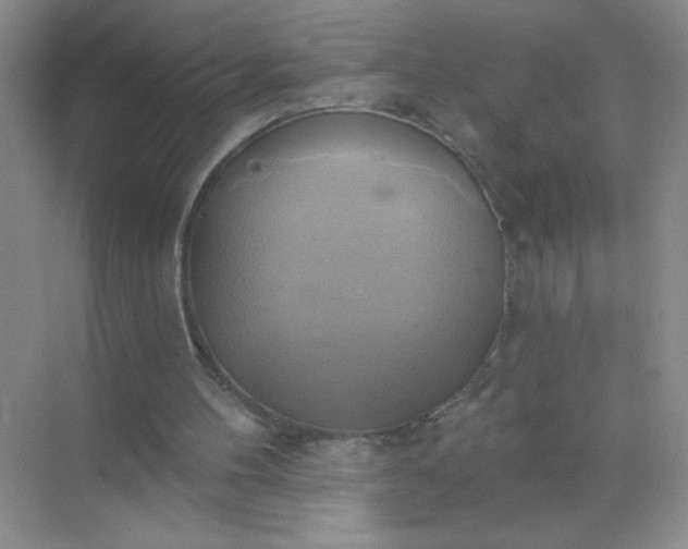 X0000071910100200607212052