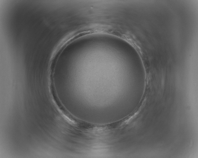 X0000071910101200607212052