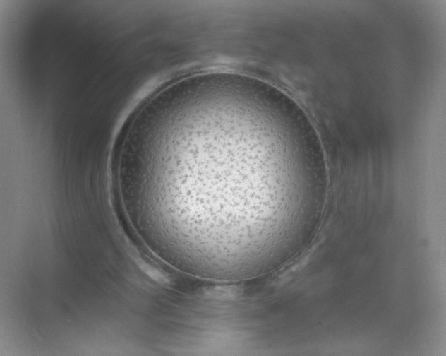 X0000071910102200607212052