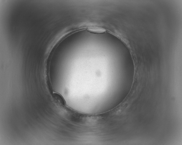 X0000071910103200607212052