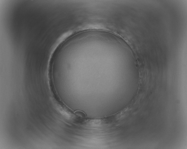 X0000071910104200607212052