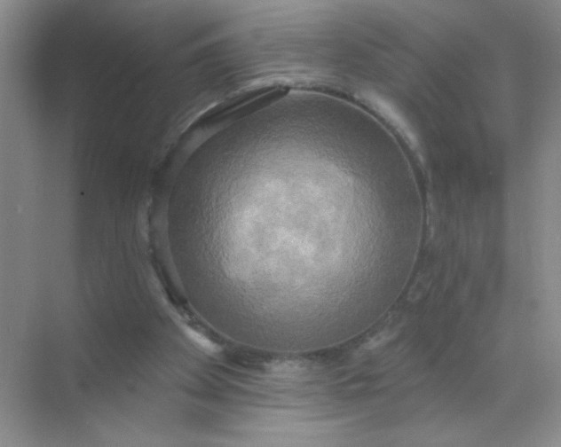 X0000071910105200607212052