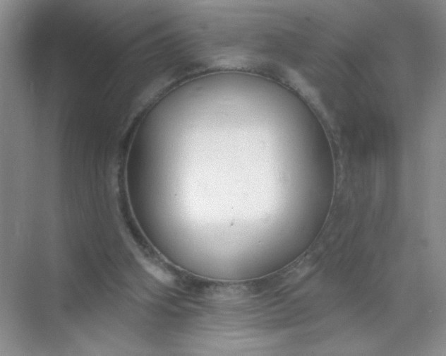 X0000071910106200607212052