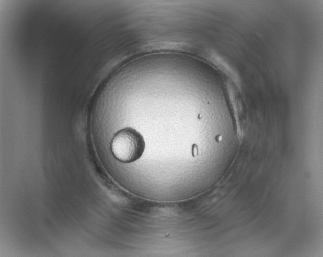 X0000071910107200607212052