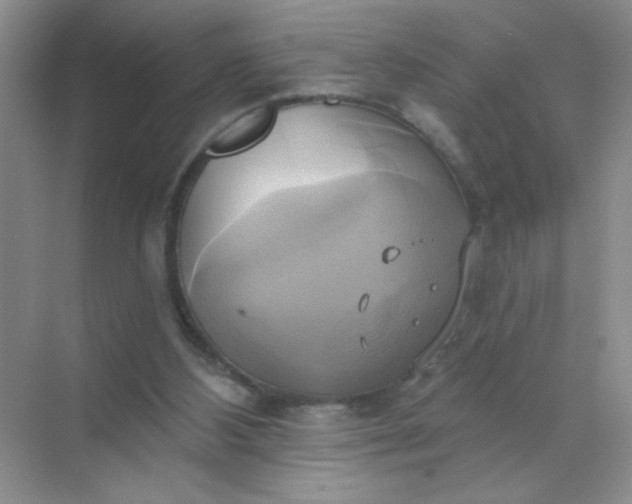 X0000071910108200607212052