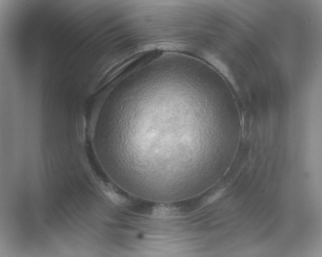 X0000071910109200607212052