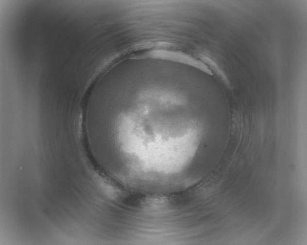 X0000071910110200607212052