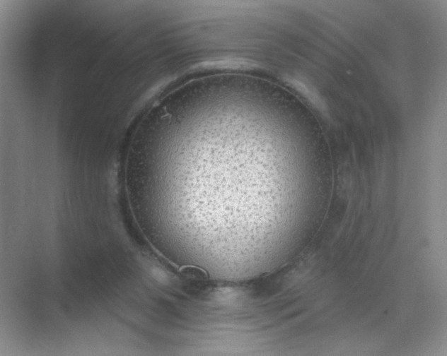 X0000071910111200607212052