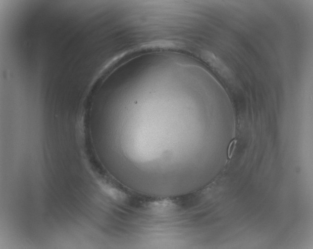 X0000071910112200607212052