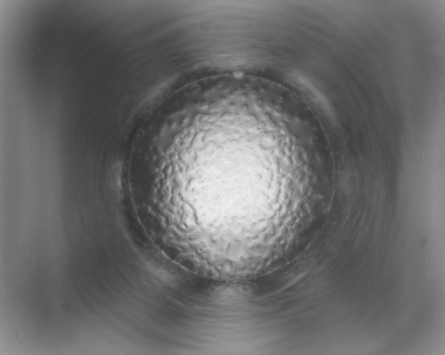 X0000071910115200607212052