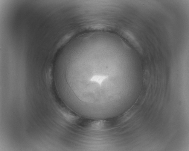 X0000071910116200607212052