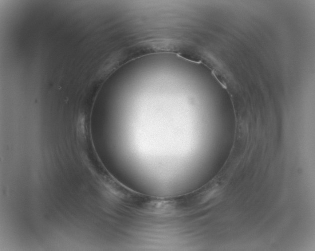 X0000071910117200607212052