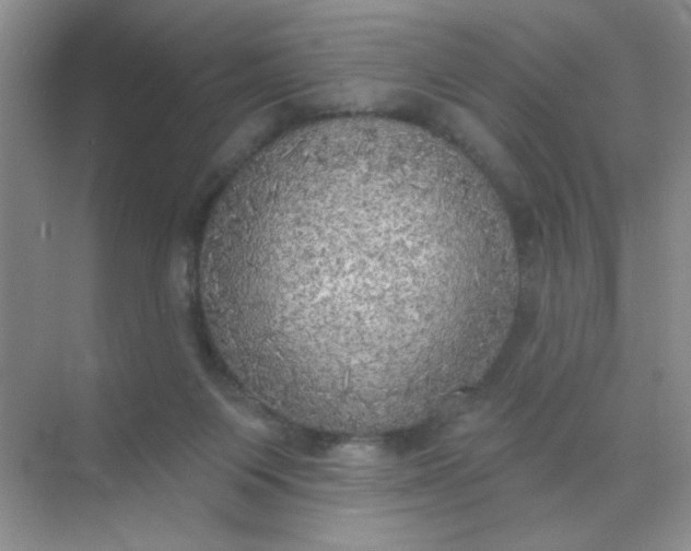 X0000071910119200607212052