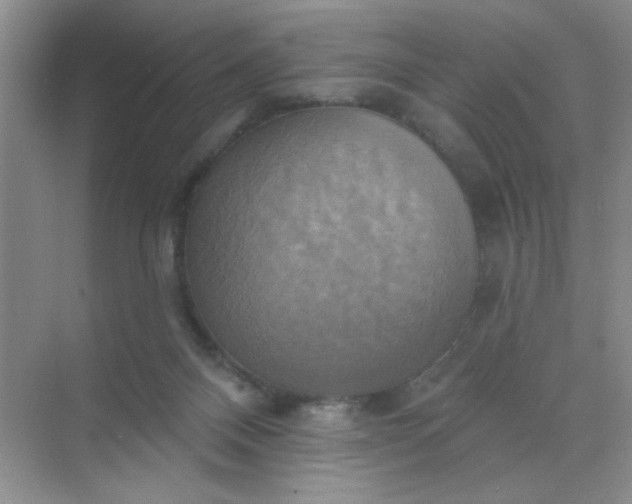 X0000071910120200607212052