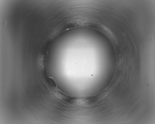 X0000071910121200607212052